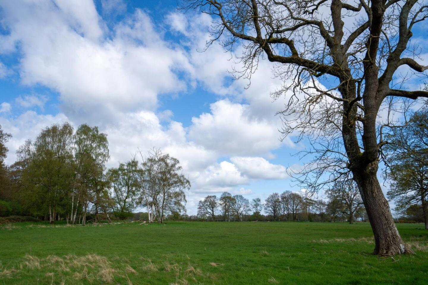 Pass The Keys Fourshires Lodge Wonderful Panoramic Views Moreton-in-Marsh Eksteriør bilde